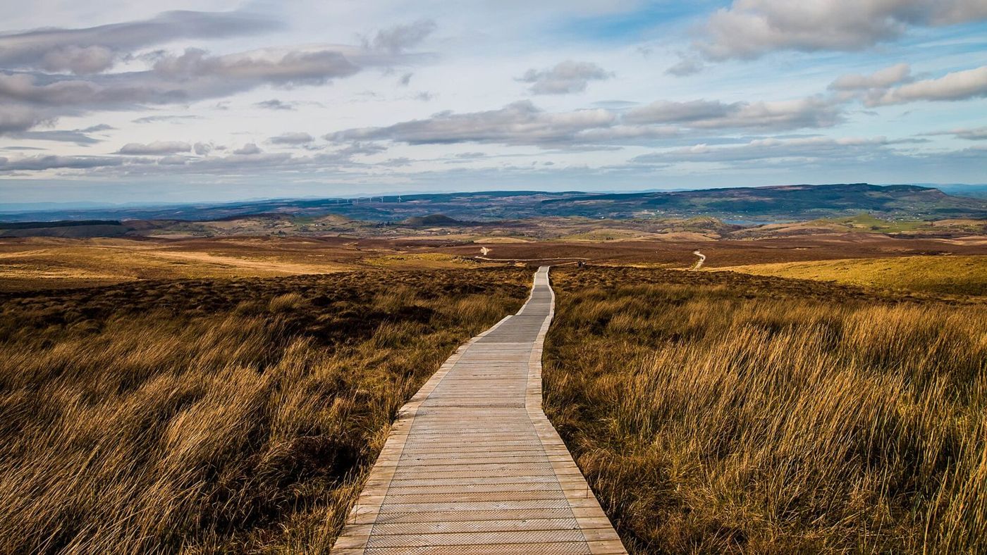 The Cuilcagh boardwalk running across blanket bog towards the mountain under a blue sky